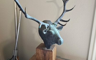 Entire Home Estate Sale & House Is For Sale Too